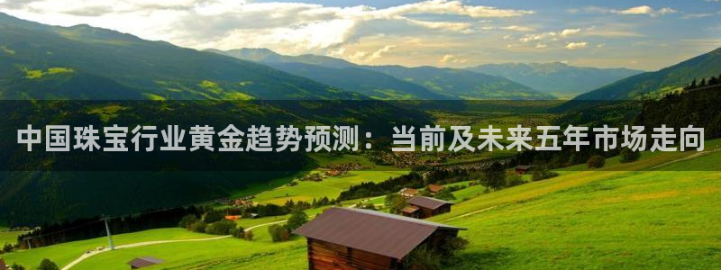 新宝5娱乐登录：中国珠宝行业黄金趋势预测：当前及未来五年市场走向