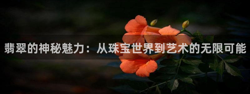 新宝G5：翡翠的神秘魅力：从珠宝世界到艺术的无限可能