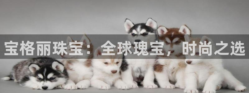 新宝5注册链接：宝格丽珠宝：全球瑰宝，时尚之选