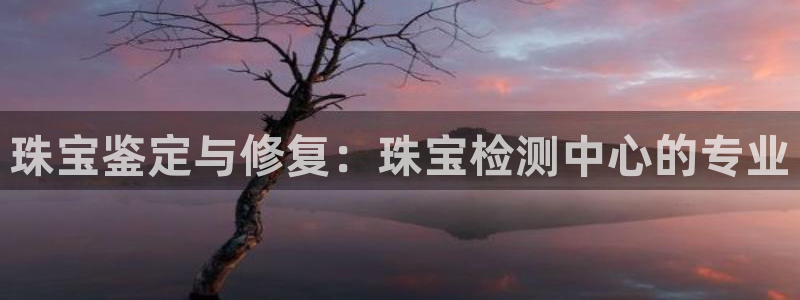 新宝5登录霸：珠宝鉴定与修复：珠宝检测中心的专业