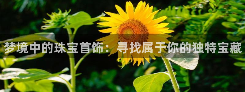 新宝5如何注册：梦境中的珠宝首饰：寻找属于你的独特宝藏