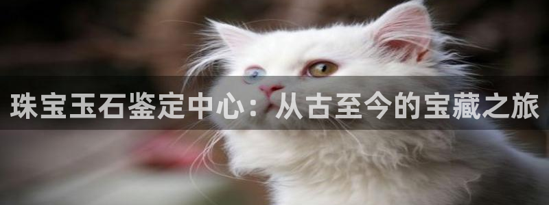 新宝5注册账号：珠宝玉石鉴定中心：从古至今的宝藏之旅