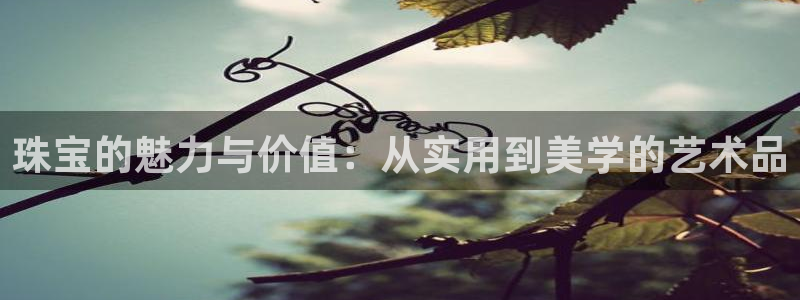 新宝rm5：珠宝的魅力与价值：从实用到美学的艺术品