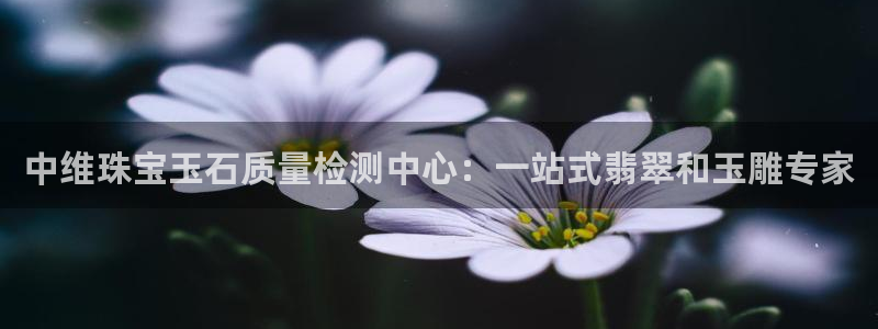 新宝5招商222111：中维珠宝玉石质量检测中心：一站式翡翠和玉雕专家
