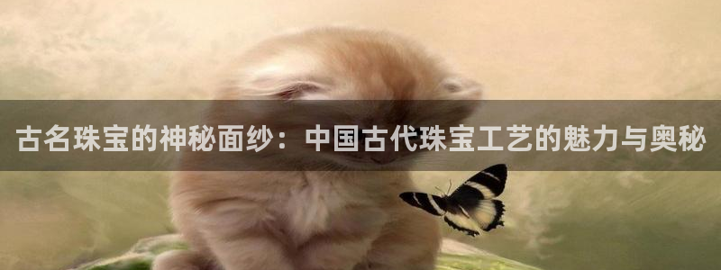 新宝5测速在线：古名珠宝的神秘面纱：中国古代珠宝工艺的魅力与奥秘