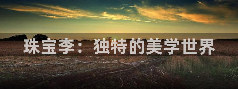 新宝5链接：珠宝李：独特的美学世界