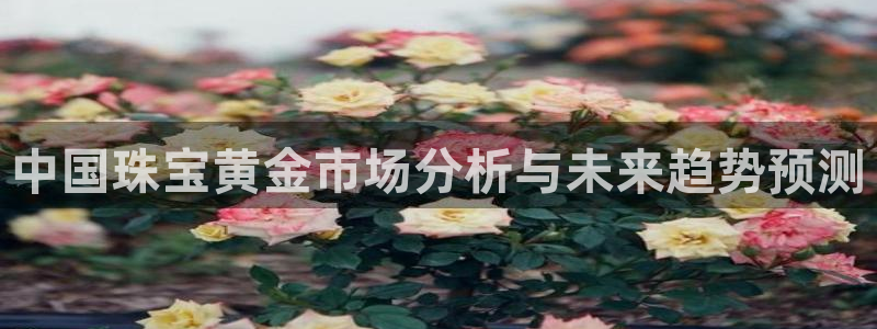 新宝5app：中国珠宝黄金市场分析与未来趋势预测