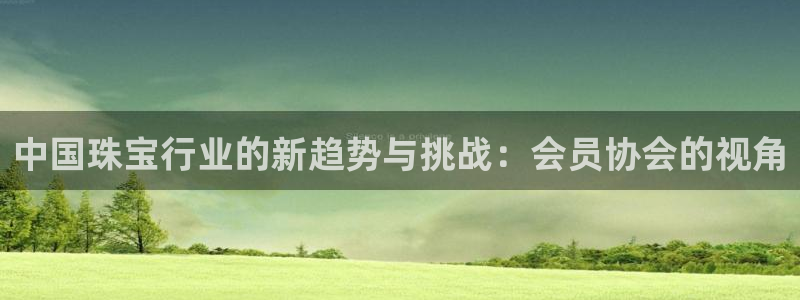 新宝5蒋7O667：中国珠宝行业的新趋势与挑战：会员协会的视角
