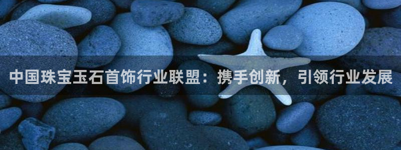 新宝5 代理：中国珠宝玉石首饰行业联盟：携手创新，引领行业发展