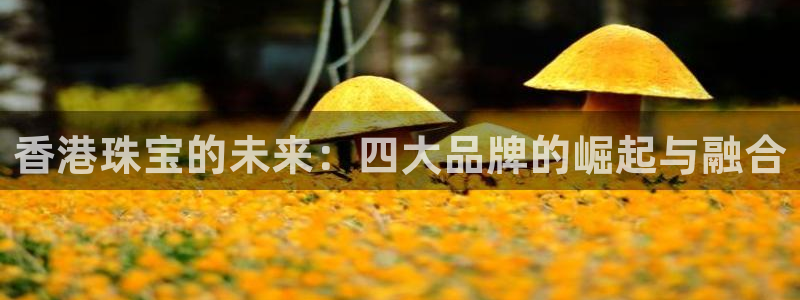 新宝5手机登录：香港珠宝的未来：四大品牌的崛起与融合