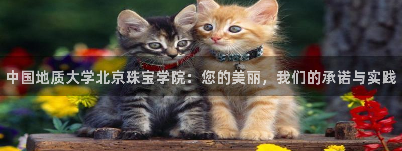 新宝5下载网址：中国地质大学北京珠宝学院：您的美丽，我们的承诺与实践