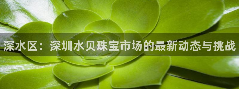 新宝5招商：深水区：深圳水贝珠宝市场的最新动态与挑战