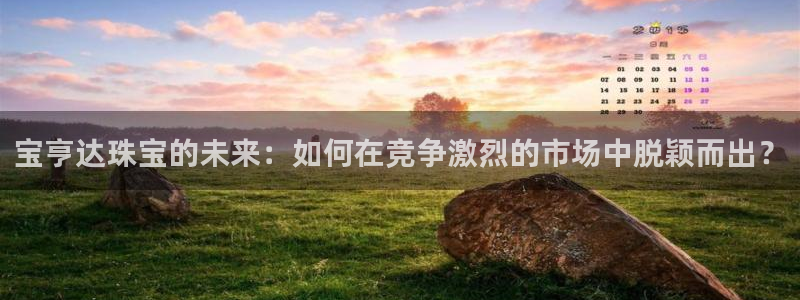新宝5什么时候上市：宝亨达珠宝的未来：如何在竞争激烈的市场中脱颖而出？