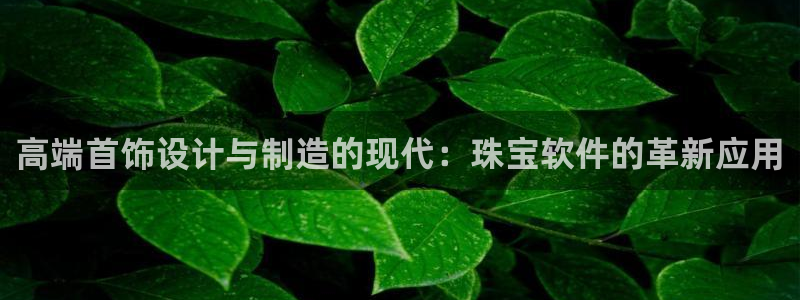 新宝rm5：高端首饰设计与制造的现代：珠宝软件的革新应用