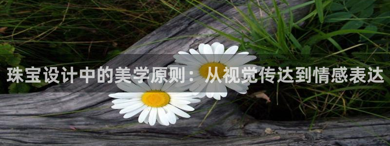 新宝5测：珠宝设计中的美学原则：从视觉传达到情感表达