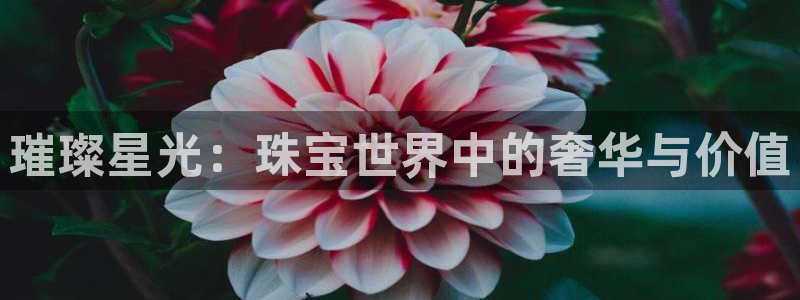 新宝5官网app：璀璨星光：珠宝世界中的奢华与价值