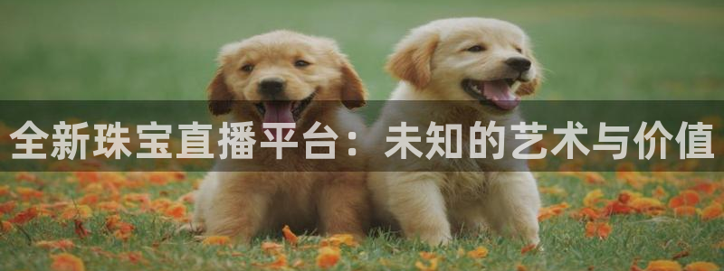 新宝5娱乐登录：全新珠宝直播平台：未知的艺术与价值