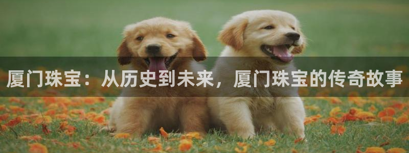 新宝5娱乐注册：厦门珠宝：从历史到未来，厦门珠宝的传奇故事