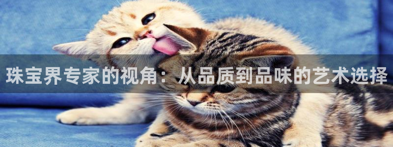 新宝5软件下载：珠宝界专家的视角：从品质到品味的艺术选择