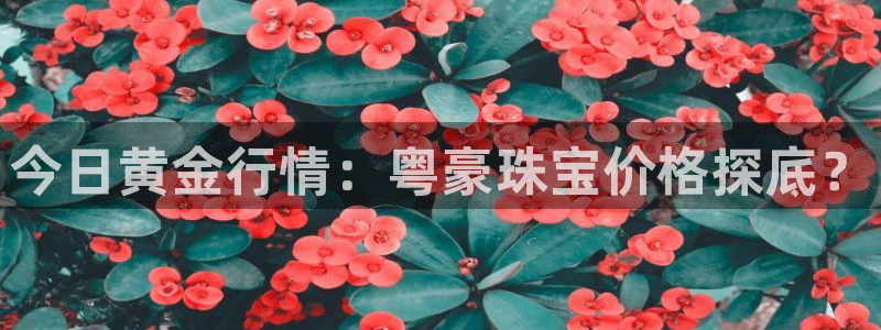 新宝b2O5O5O：今日黄金行情：粤豪珠宝价格探底？