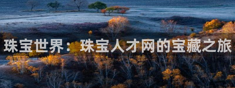 新宝5娱乐同：珠宝世界：珠宝人才网的宝藏之旅
